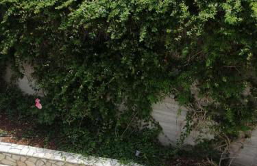 Villa Clio - Foto 38