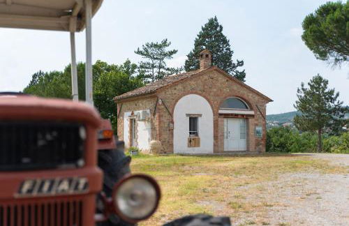 Opera d'Oro - Foto 2