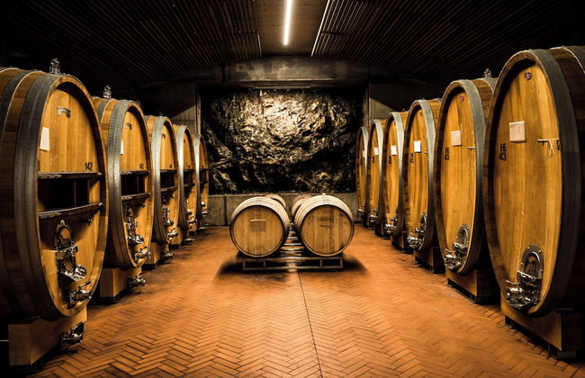 Wine Relais in Montecucco - Photo 65