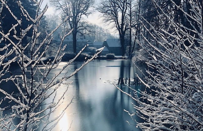 Castle in Ferrieres With Pond Garden - Photo 36
