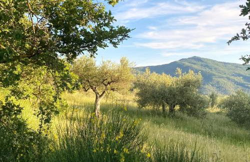 Il Poggio della Luna - Foto 42