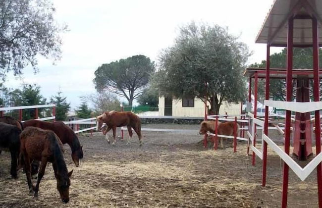 Ore Felici Park - Foto 9