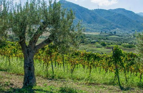 Cozy Home In Rodi Milici With Wifi - Foto 9