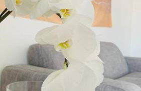 Seven House Poetto - Foto 7