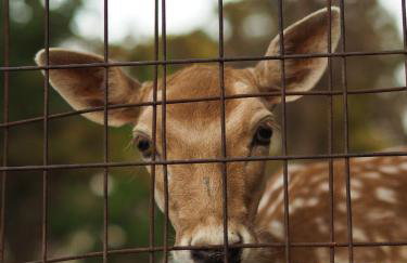 Rodi Apartment - Foto 20