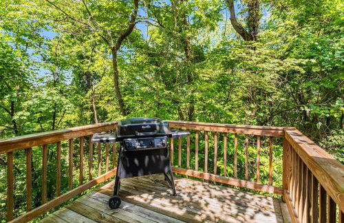 Shenandoah mountain cottage w hot tub & fire pit - Foto 18