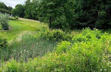 Home in the Heart of W.V. Adventure Country! - Photo 41