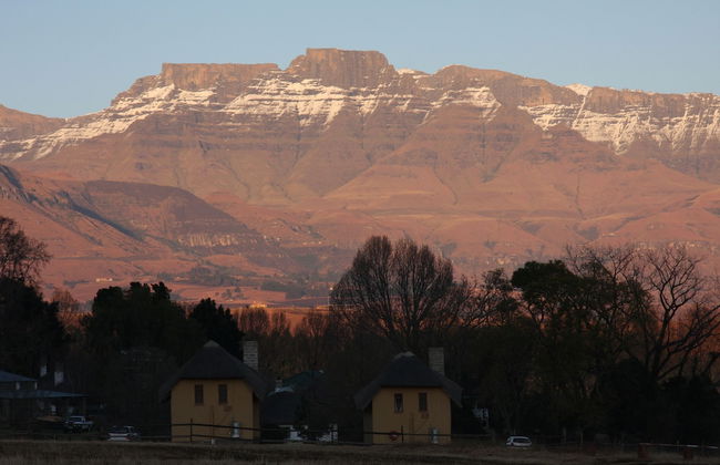 Ardmore Guest Farm - Photo 23