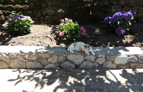 Johanna’s house - Foto 28