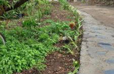 Casa Nieves de Mario - Foto 33