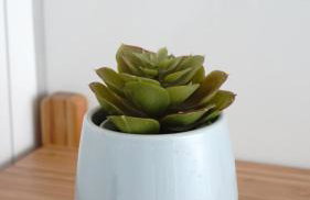 WEINBERGBLICK im Haus FREY - 3 Schlafzimmer ,Küche, 2 Bäder, 2 Balkone, Parkplatz direkt vor der Tür - Foto 29