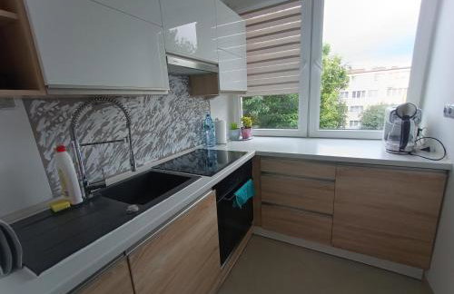 Retro Apartament blisko Parku - Photo 6