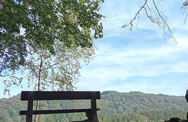 Au Pied de Vigne - Foto 15