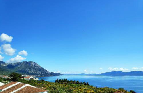 Apartman Anicic - Foto 1