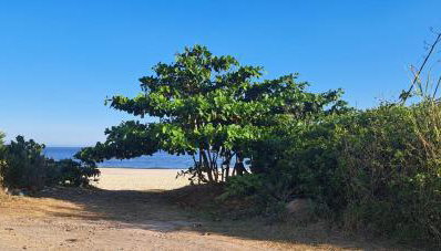 Aconchegante casa à beira da praia - Foto 3