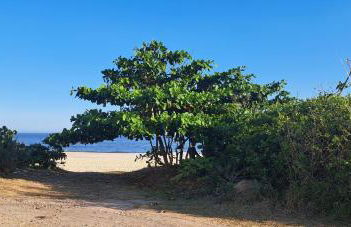 Aconchegante casa à beira da praia - Foto 3