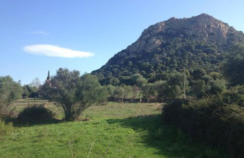 Agriturismo La Casa delle Fate - Photo 56