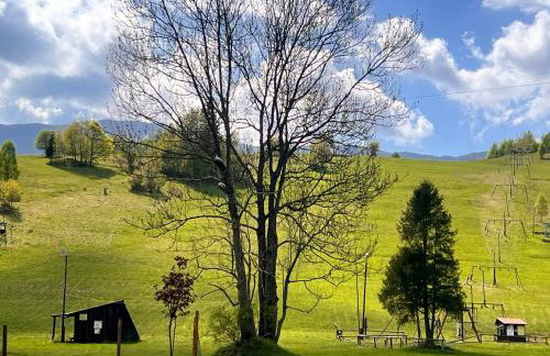 Dzika Dziura z jacuzzi - Foto 65