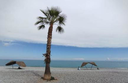 Parc Baie des Anges - Foto 53