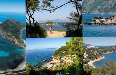 le lavandin - Foto 27