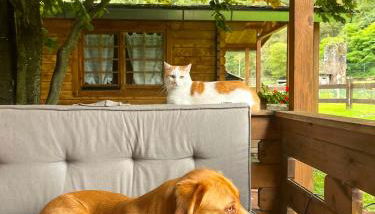 Agriturismo La Vecchia Chioderia - Photo 2