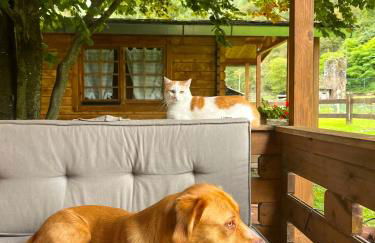 Agriturismo La Vecchia Chioderia - Foto 2