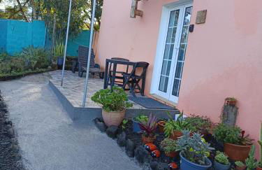 Casa da Tulipa - Photo 14