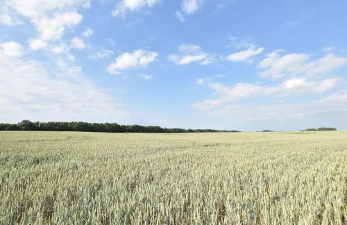 Sunny Holiday Apartment at the Forest Büdnerreihe - Foto 28
