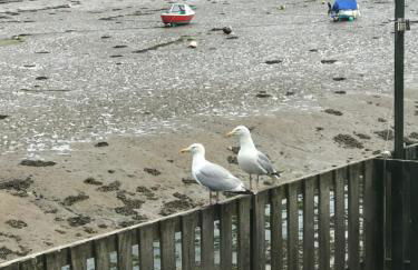 Harbourside - Foto 22