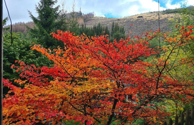 Talferienhaus, Sauerland - Foto 30