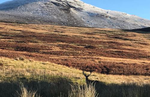 Rowan Cottage, CrannachCottages - Foto 27