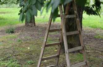 Drzewiecka Chata - Foto 37