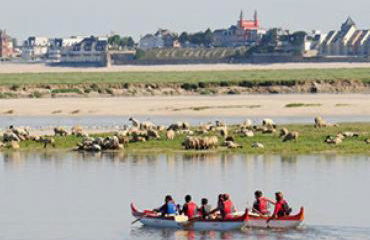 Les Portes de la baie - Foto 31