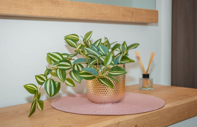 Apartment Matko - Foto 58