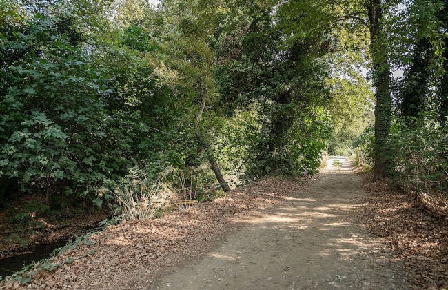 Villa Nature Kalives Chania - Foto 34