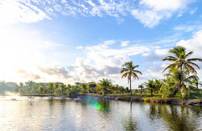 PF06 Ótimo Ap 2 Quartos - Praia do Forte - Foto 33