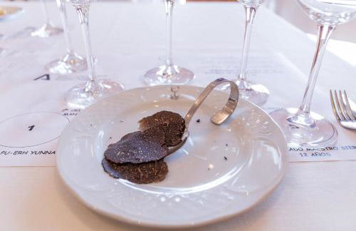 Aromas del Jiloca, la Trufa Negra - Foto 26