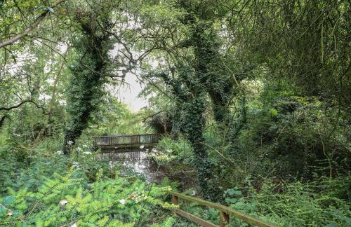 Cotton Mill Cottage - Photo 36