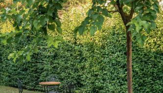 Agriturismo Tenuta Polledro - Photo 4