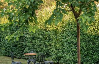 Agriturismo Tenuta Polledro - Photo 4