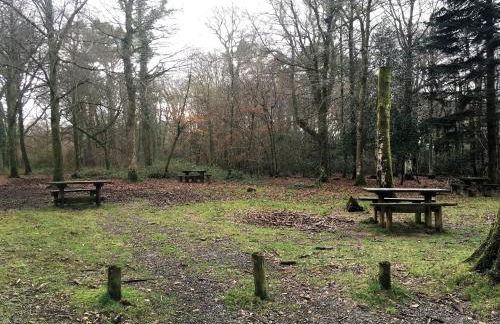 Meadow Sweet Cottage - Photo 42