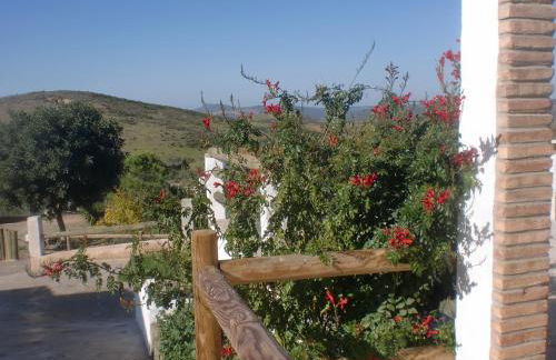 Horta da Quinta - Foto 66