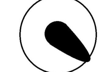 Entire Thatched Cottage - Photo 13