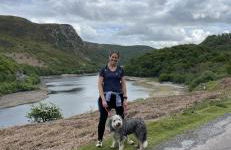 Bronfelin & Troed-y-rhiw Holiday Cottages - Foto 68