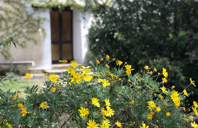 Masseria La Torre - Foto 57