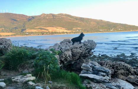 Beautiful Coastal Retreat in Punta Paloma, Tarifa - Foto 93