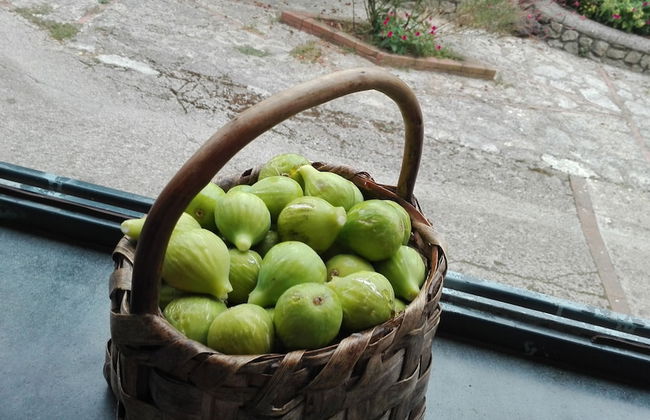 Agriturismo Mare e Monti - Foto 76