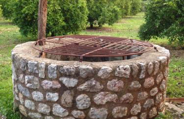 Finca Cas Sant - Foto 24