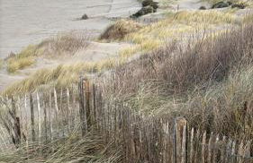 Évasion Côtière - Foto 20