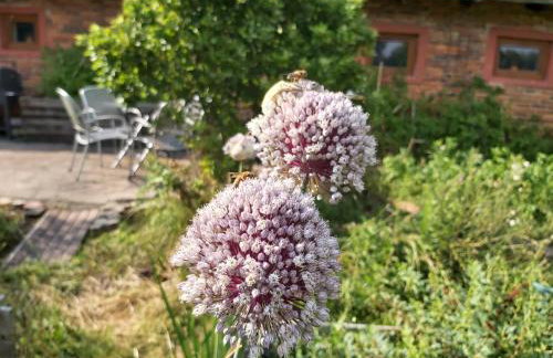 CountryHouse - Foto 8